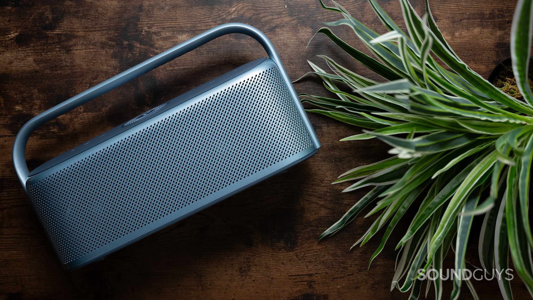 Anker Soundcore Motion X600 plant Anker Soundcore Motion X600 next to a plant.